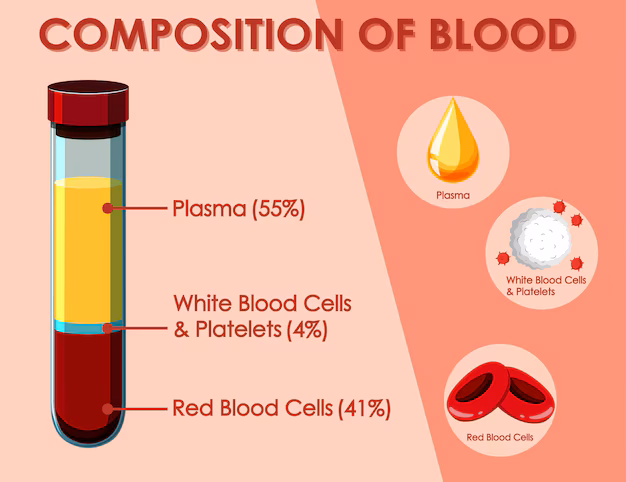 diagram showing composition blood