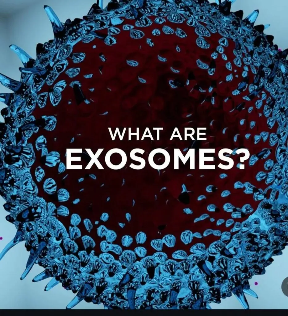 What Are Exosomes